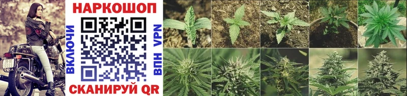 Сколько стоит Казань NBOMe Alpha-PVP Марихуана Меф Cocaine