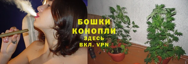 ALPHA-PVP Няндома