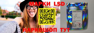 молекула духа Гатчина