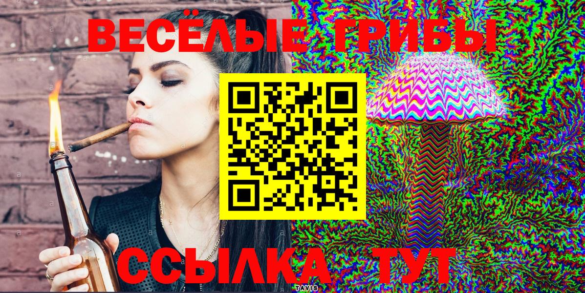 Псилоцибиновые грибы Cubensis  Вход с VPN  Казань 