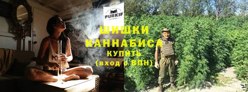 дарнет шоп  Казань  Бошки марихуана OG Kush 